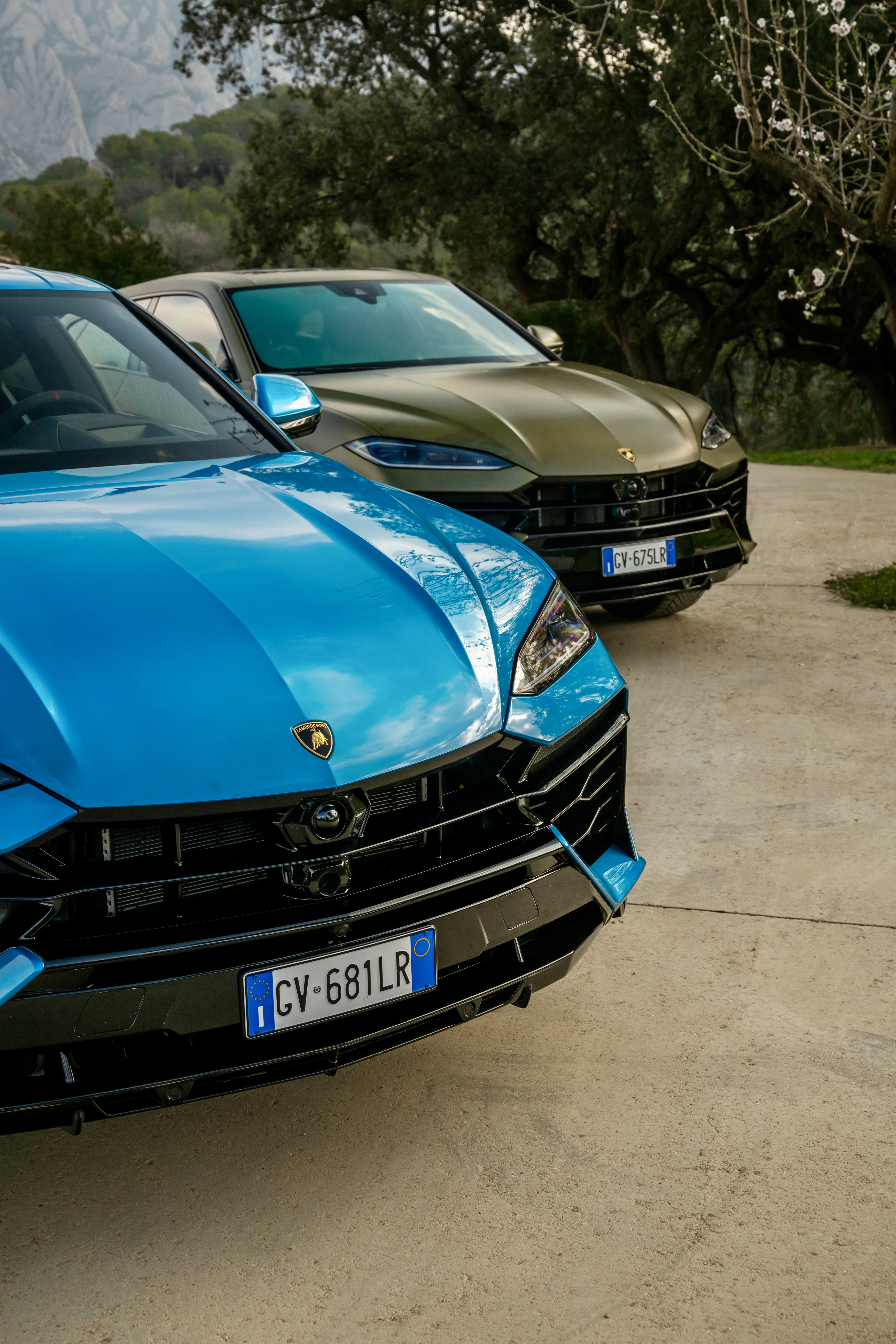 luxury cars rental